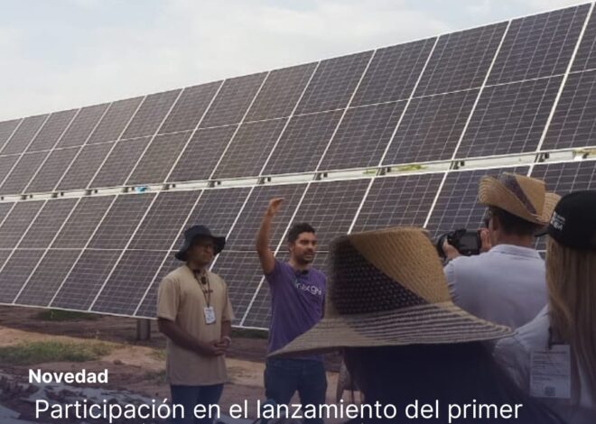 Transformando el Futuro Energético: Cambio Sostenible en Solab