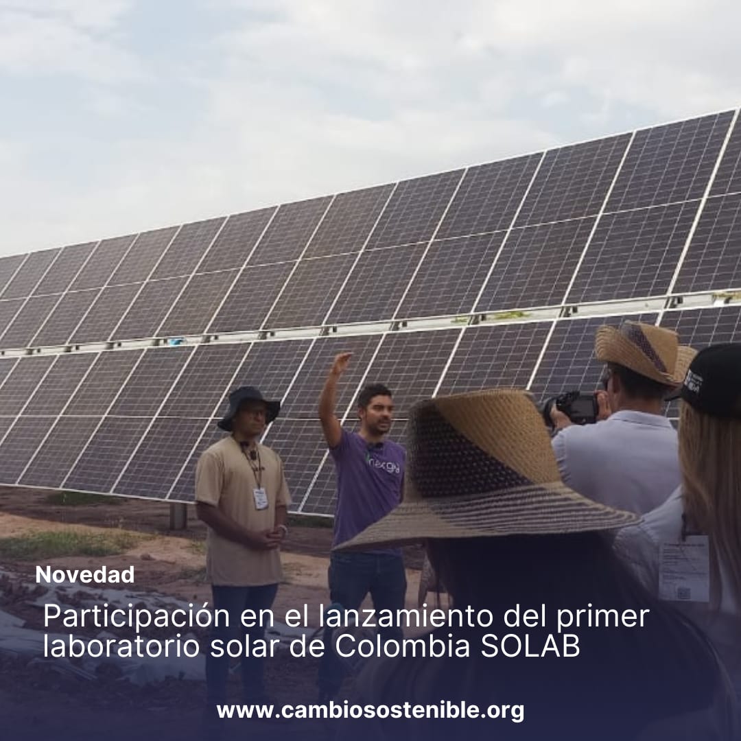Transformando el Futuro Energético: Cambio Sostenible en Solab
