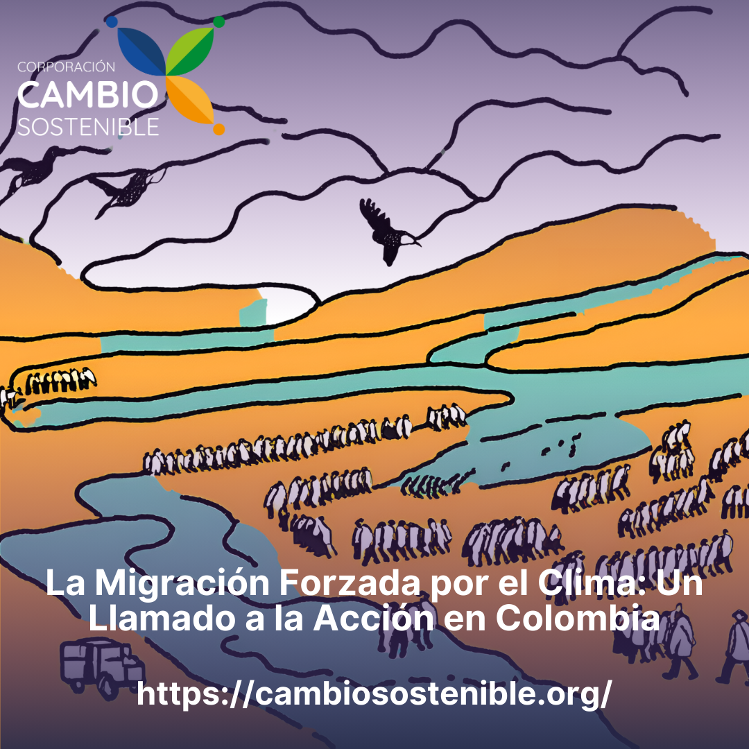 La Migración Forzada por el Clima: Un Llamado a la Acción en Colombia