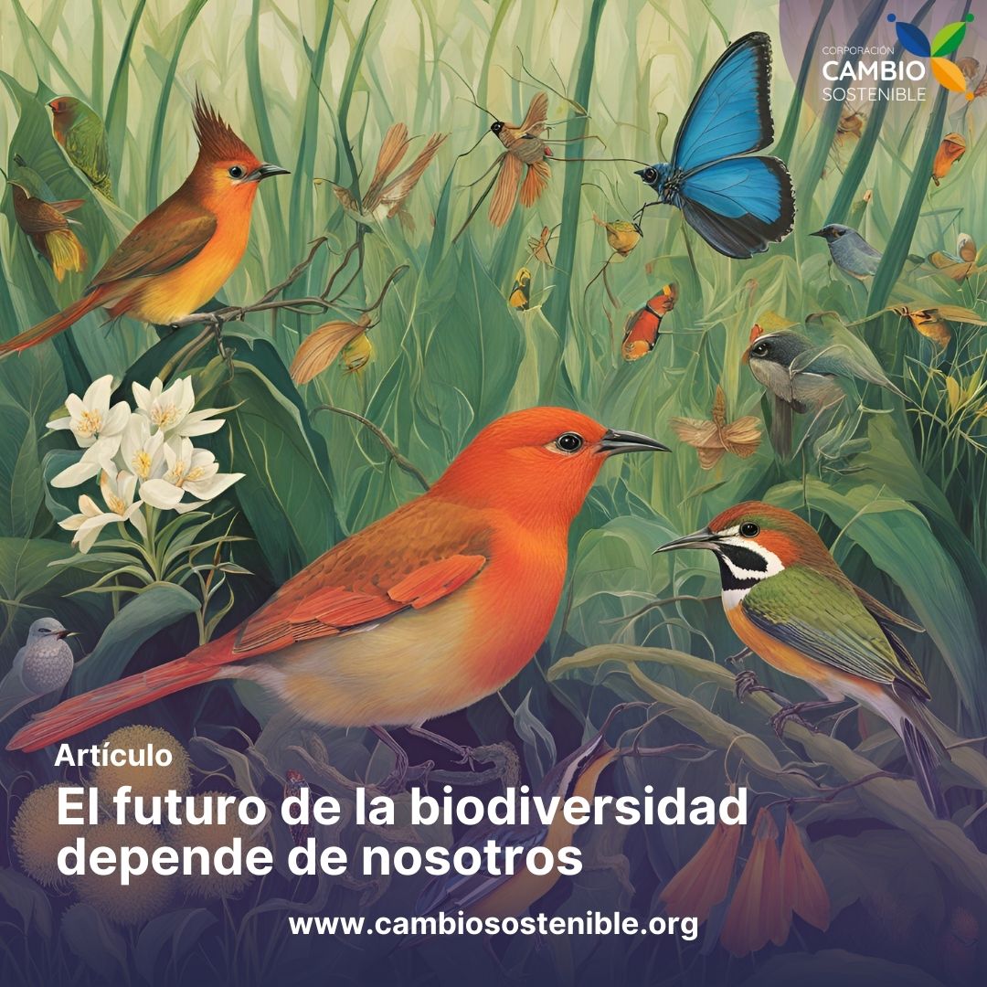 El futuro de la biodiversidad depende de nosotros