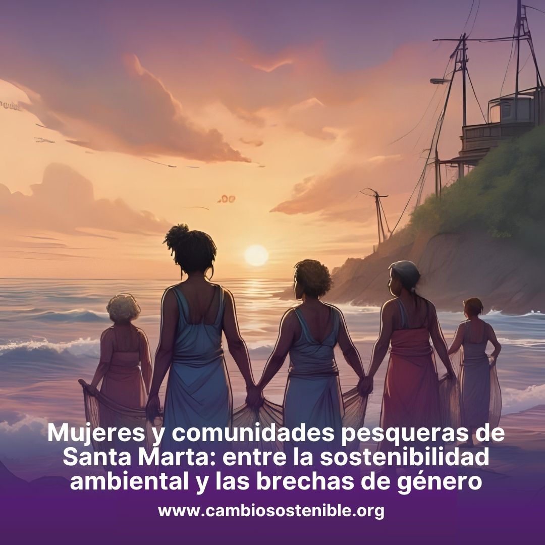 Mujeres y comunidades pesqueras de Santa Marta: entre la sostenibilidad ambiental y las brechas de género
