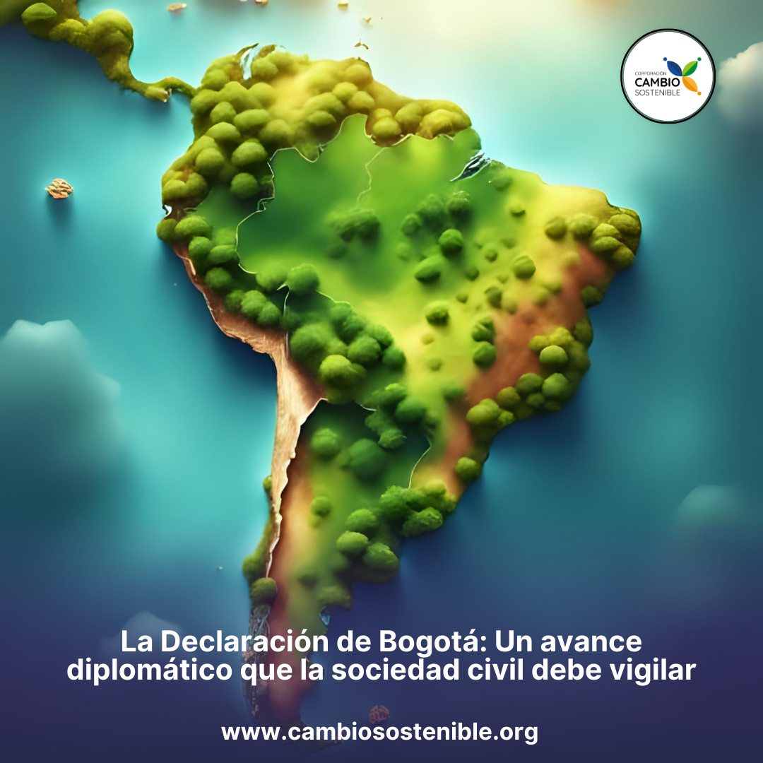 La Declaración de Bogotá: Un avance diplomático que la sociedad civil debe vigilar