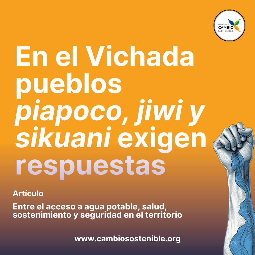 En el Vichada pueblos Piapoco, Jiwi y Sikuani exigen respuestas