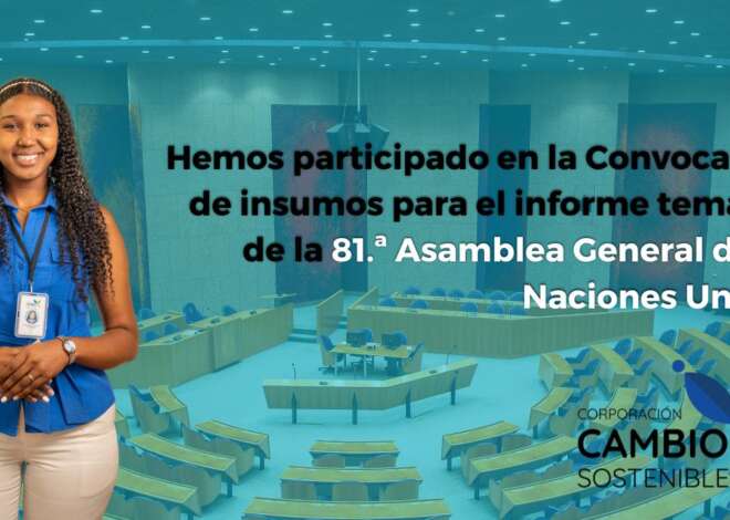 Nuestro aporte al Informe de la Relatora Especial de Libertad de Reunión y Asociación ONU