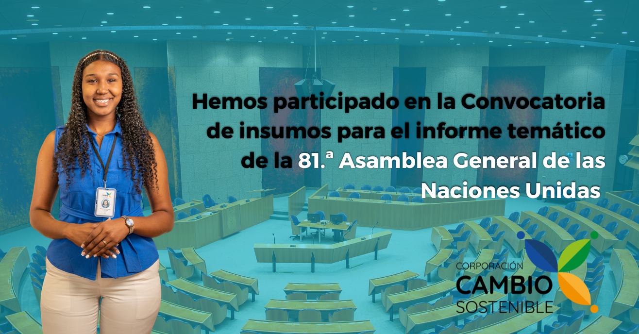 Nuestro aporte al Informe de la Relatora Especial de Libertad de Reunión y Asociación ONU