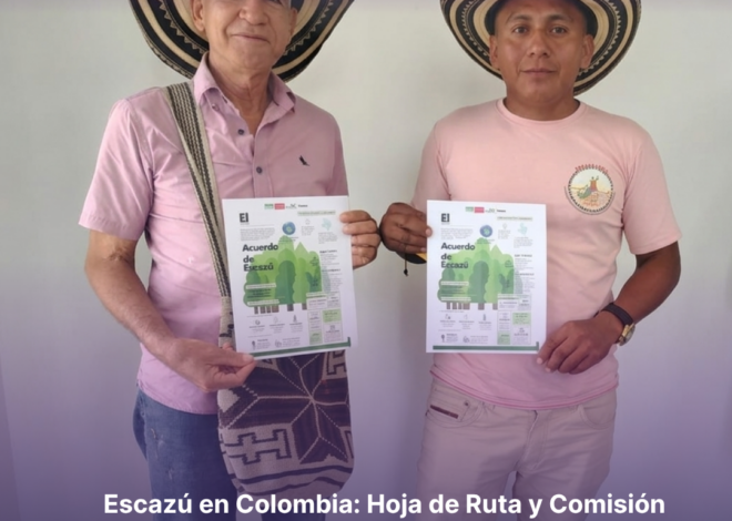 Escazú en Colombia: Hoja de Ruta y Comisión Intersectorial para la Justicia Ambiental