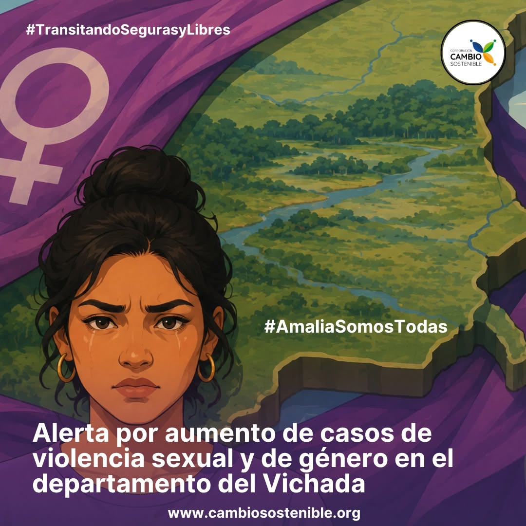 Alerta por aumento de casos de violencia sexual y de género en el departamento del Vichada