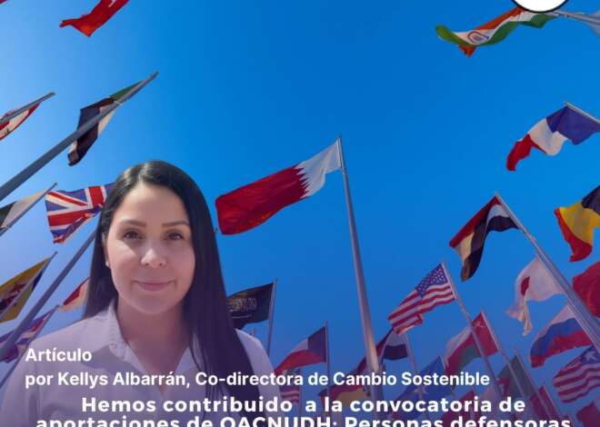 Defendiendo a quienes defienden la vida: Nuestra contribución a la Relatoría de la ONU sobre el Medio Ambiente