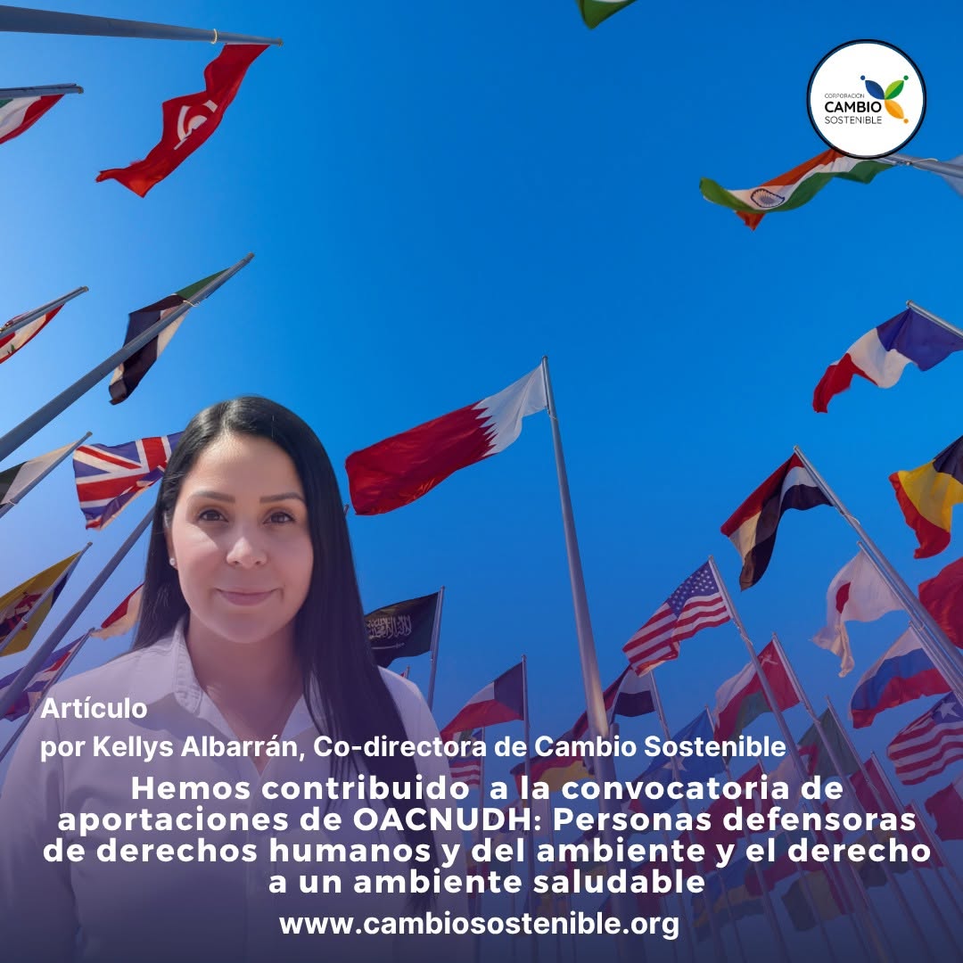 Defendiendo a quienes defienden la vida: Nuestra contribución a la Relatoría de la ONU sobre el Medio Ambiente