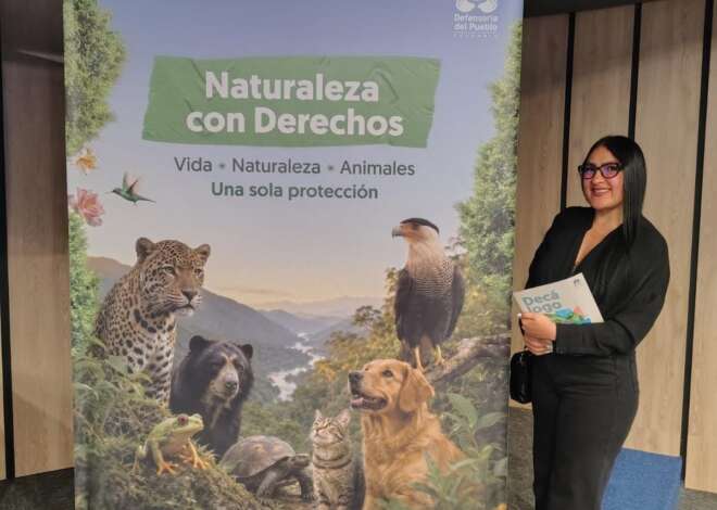 “Naturaleza con derechos”: Protección de la fauna silvestre en Colombia.