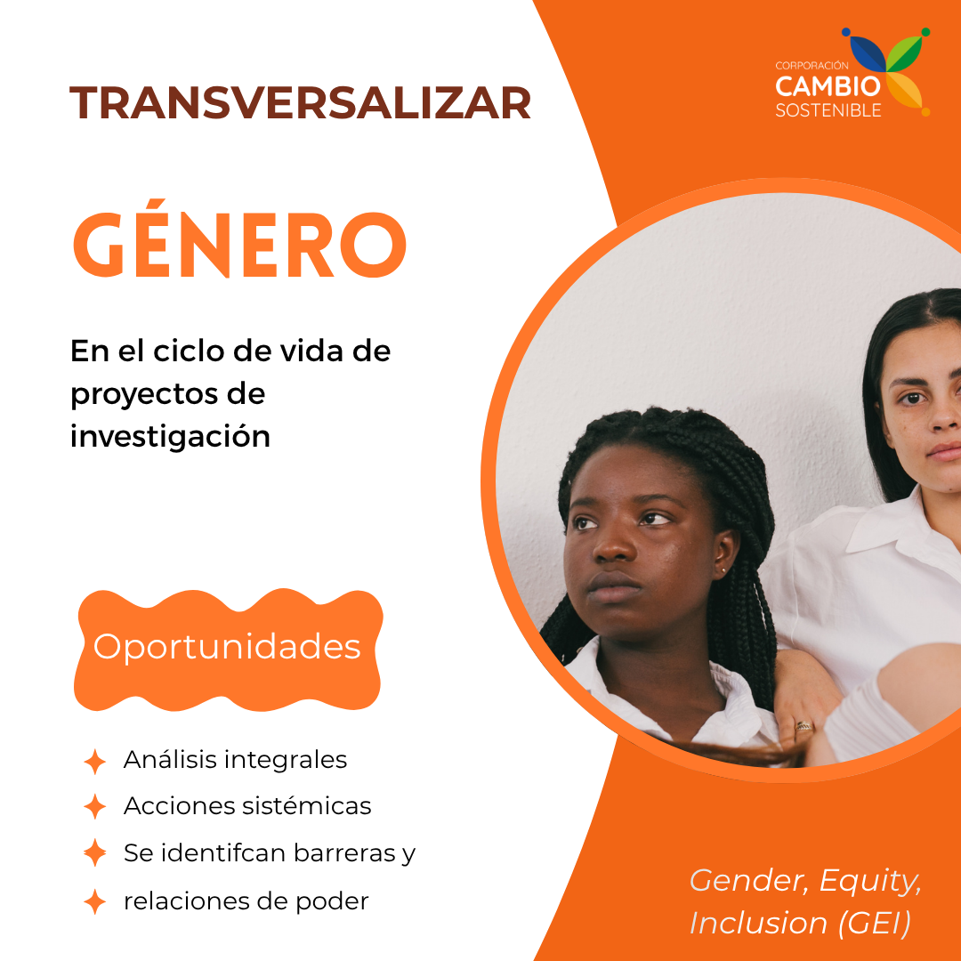 Aprendizajes de la sesión de transversalización de Género, Equidad e Inclusión (GEI) en ciclos de vida de proyectos de investigación