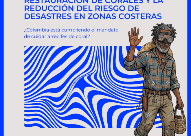 Compromiso con la vida marina: Cambio Sostenible participa en la estrategia regional de restauración de corales