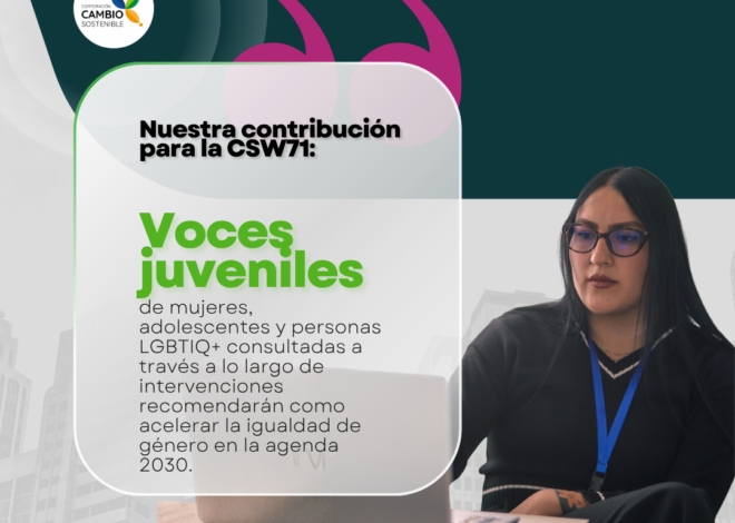 Nuestra voz, nuestro futuro: Aportes para la CSW71
