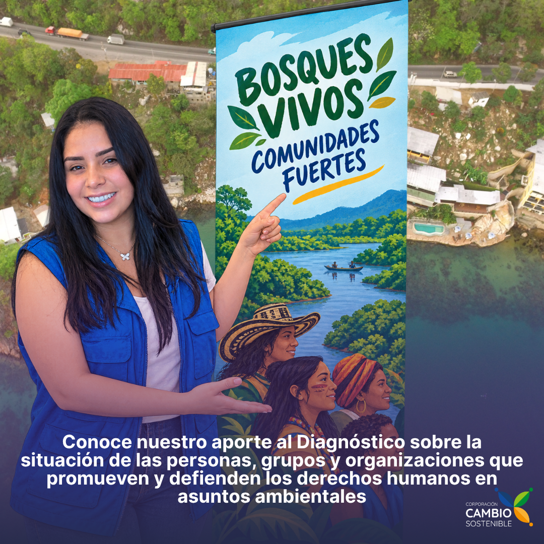 Participamos en la Consulta Pública de la CEPAL sobre defensores ambientales